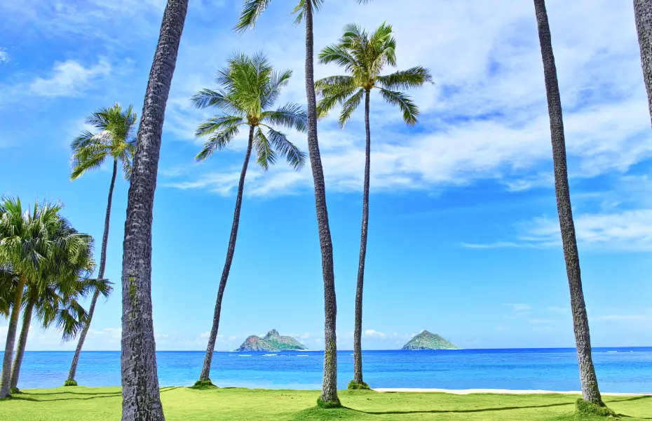 写真:ハワイ風景
