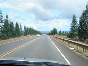 ノースショア高速道路