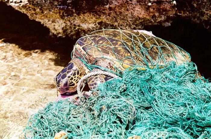 カイルアビーチの海洋ゴミ回収の話し