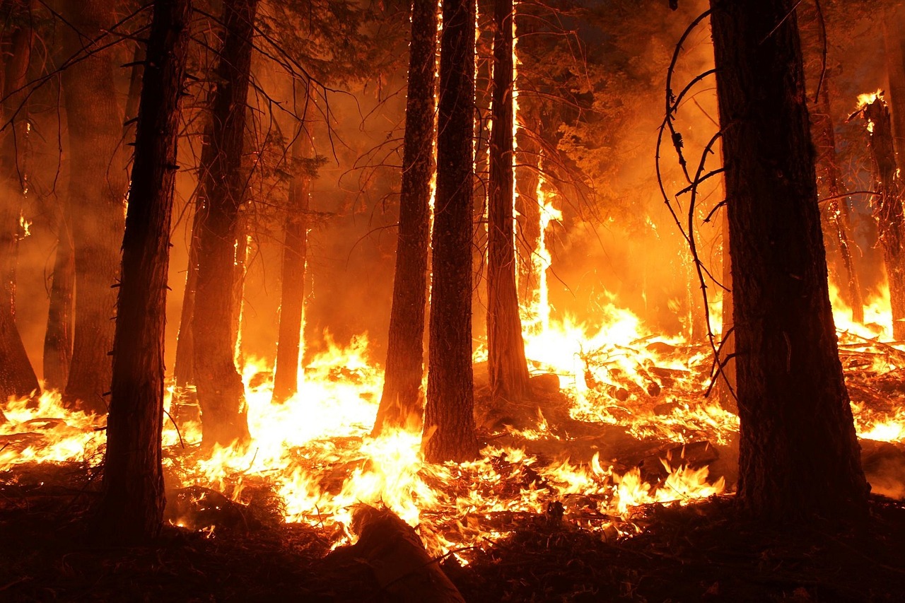 ハワイにおける 乾季の山火事の危険