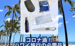 コロナ渦だから持参するハワイ旅行の必需品