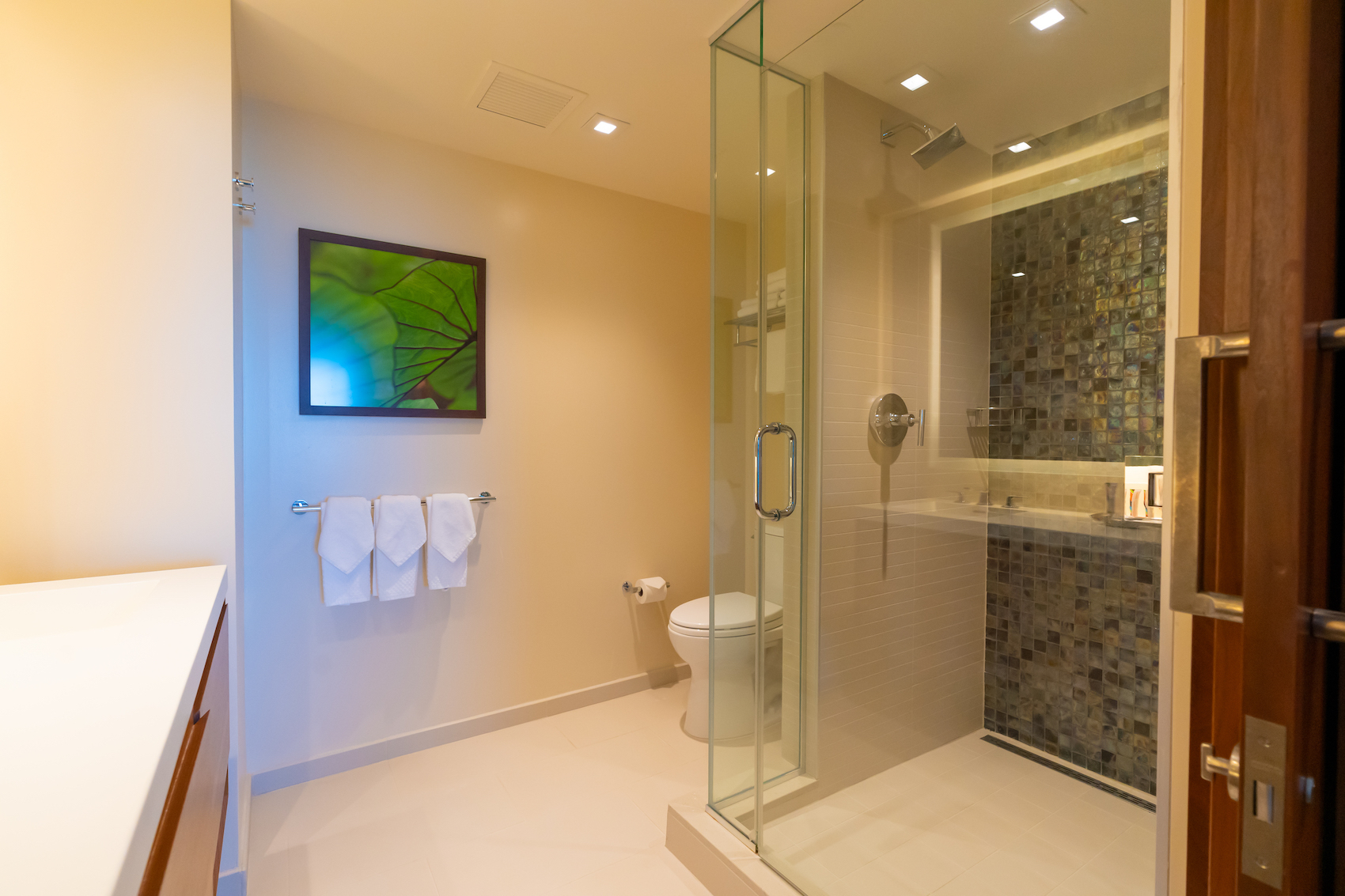 グランド・アイランダーのペントハウス3605号室の副寝室のシャワーとトイレ