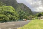 ハワイ州観光局はマウイへ旅行者を歓迎する「マカウカウ・マウイ」キャンペーンを開始