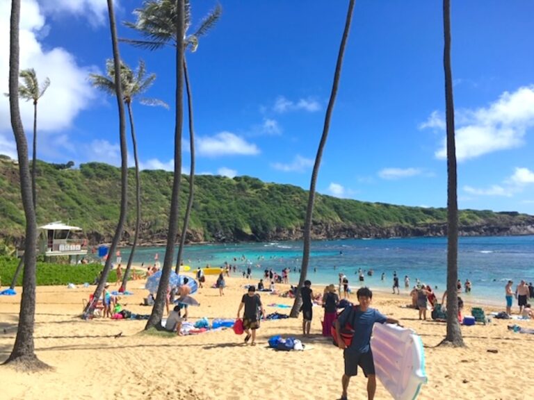 【旅行前に要チェック】ハナウマ湾が8月3日〜11日まで一時閉鎖